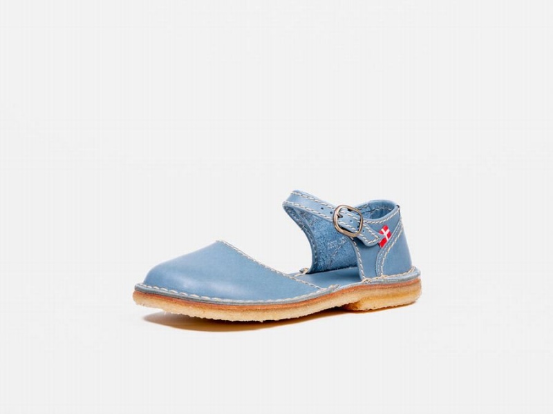 Women's Duckfeet Mols Mary Jane Shoes Blue | NGV239CO